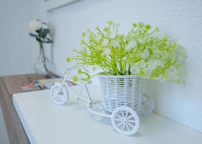 Zabas Homestay szállás